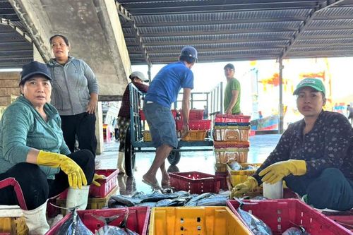 Gia Lai: Ngư dân bám biển mưu sinh và bảo vệ chủ quyền