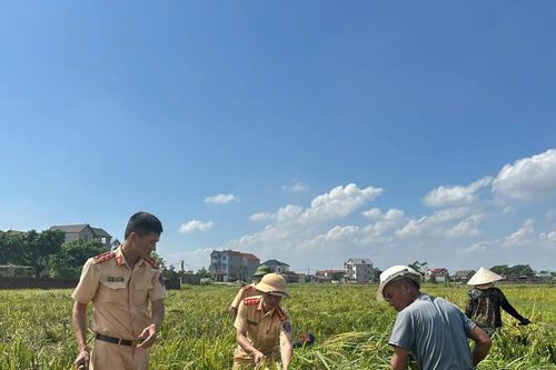 200 cán bộ chiến sĩ Công an Hà Nội giúp người dân xã Đa Phúc dọn dẹp sau lũ