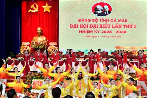 Cà Mau khai mạc Đại hội đại biểu Đảng bộ tỉnh lần I