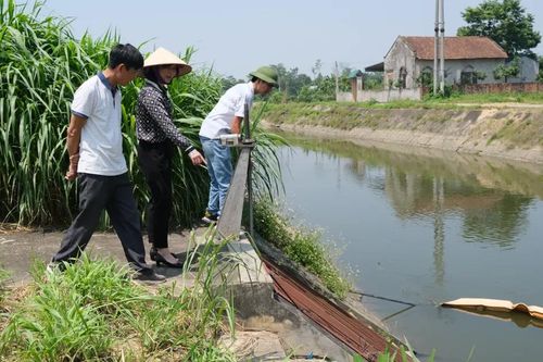 Phú Thọ: lên kế hoạch quan trắc, cảnh báo và giám sát môi trường với 47 địa điểm chăn nuôi
