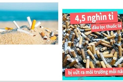Thuốc lá đang tạo thêm gánh nặng đối với môi trường