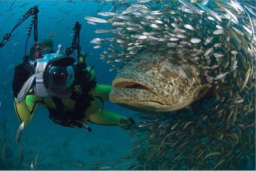 Điều kỳ diệu ở hòn đảo được ví như 'Galápagos của Trung Mỹ'
