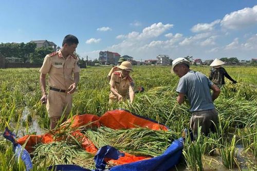 Cán bộ, chiến sĩ Công an Thủ đô giúp người dân xã Đa Phúc khôi phục cuộc sống sau bão
