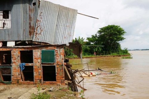 Lũ đạt đỉnh, Đồng Tháp liên tiếp xảy ra sạt lở bờ sông