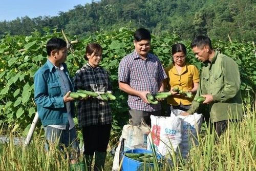 Sắp xếp lại hệ thống khuyến nông cả nước trước 30/10