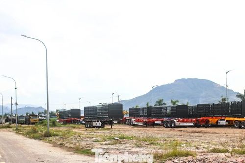 Chỉ đạo 'nóng' vụ dự án đô thị mới ở Gia Lai bị chiếm dụng