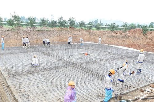 Tháo gỡ vướng mắc, đẩy nhanh tiến độ bồi thường để bàn giao mặt bằng các dự án đường dây 220kV trên địa bàn Nghệ An