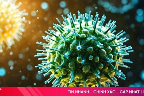 Mối liên hệ giữa ăn khuya và ung thư trực tràng