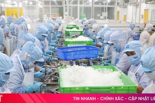 Doanh nghiệp Hà Tĩnh tăng tốc xuất khẩu, nỗ lực về đích mục tiêu 2,5 tỷ USD