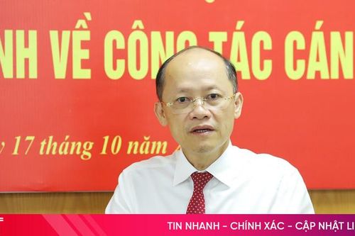 Hà Tĩnh kiện toàn chức danh Trưởng ban Nội chính Tỉnh ủy và Chủ tịch MTTQ tỉnh
