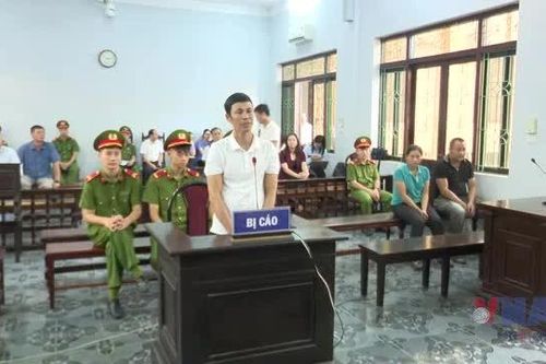Vì sao bị cáo trong vụ án 'gà lôi trắng' được miễn trách nhiệm hình sự?