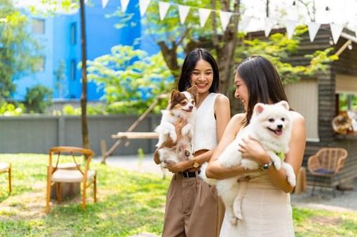 Nở rộ 'căn hộ thân thiện với thú cưng' tại Indonesia