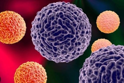 Cuba ghi nhận sự lây lan 'phức tạp' của Arbovirus