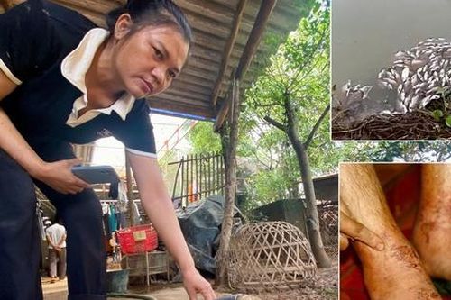 Vụ vỡ hồ chứa bùn ở Thái Nguyên: Tiến hành lấy mẫu, sẽ sớm có kết quả xét nghiệm hóa chất