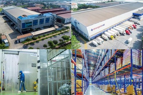 Thị trường kho lạnh Việt Nam: Tự tin thu hút đầu tư quốc tế, 'mắt xích' trong chuỗi logistics công nghệ cao