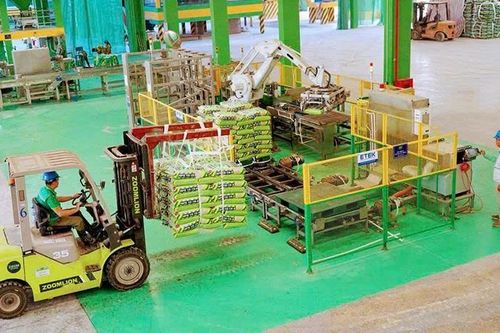 'Bộ tứ trụ cột' - la bàn định hướng phát triển
