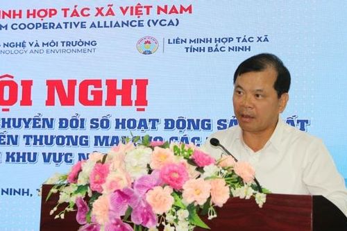 Nâng cao năng lực chuyển đổi số cho hợp tác xã, hộ kinh doanh