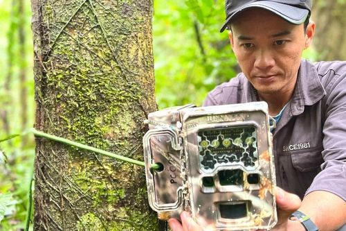 Bẫy ảnh hé lộ kho báu sinh học ở Vườn Quốc gia Kon Ka Kinh
