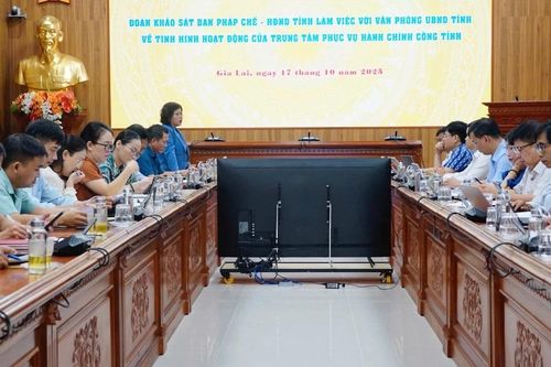 Ban Pháp chế HĐND tỉnh Gia Lai giám sát tại Trung tâm Phục vụ hành chính công tỉnh