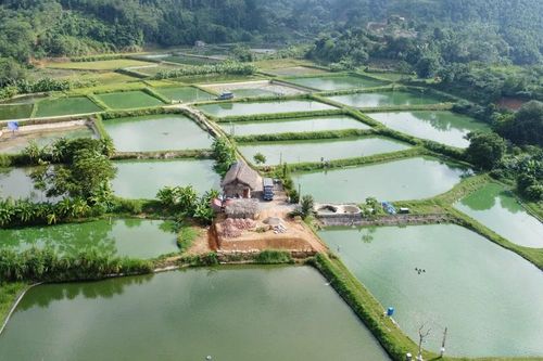 Người nuôi thủy sản thích ứng với biến đổi khí hậu