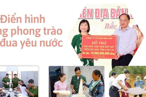 Điển hình trong phong trào thi đua yêu nước