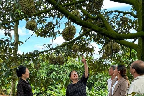 Những bông hoa tỏa sáng giữa đại ngàn