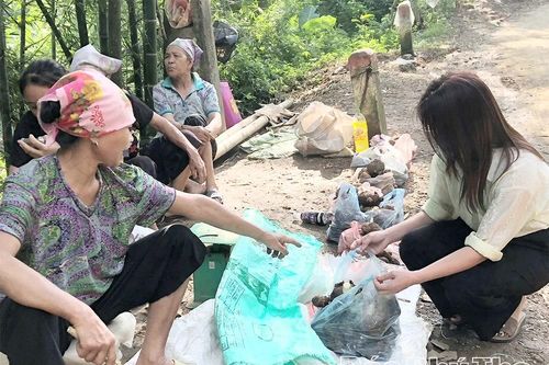 Khoai sọ Phúc Sạn - Hương vị từ đất trời vùng lòng hồ sông Đà
