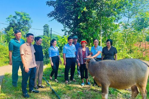 Vực dậy sau thiên tai