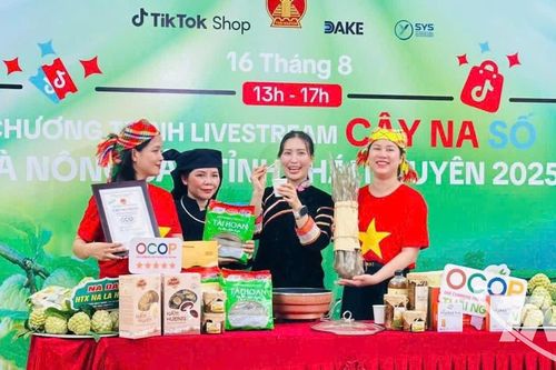 Thái Nguyên hướng tới tốp 3 cả nước về sử dụng tên miền '.vn'
