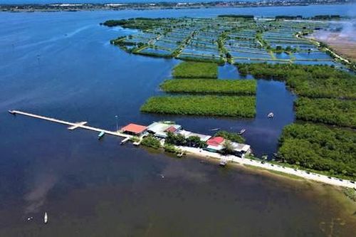 Huế: Nâng cao ý thức cho người đi đò, thông tư về phao cứu sinh đem lại bình yên sông nước