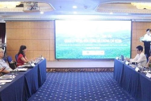 Nâng cao hiệu quả công tác quản lý rừng bền vững