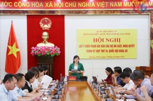 Đoàn ĐBQH tỉnh Quảng Ninh lấy ý kiến tham gia dự án Luật Báo chí (sửa đổi) và Luật Viên chức (sửa đổi)