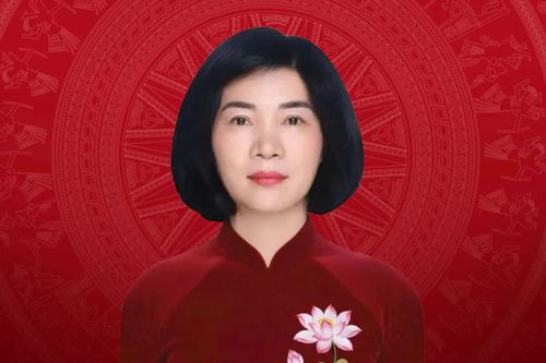 Tóm tắt tiểu sử Phó Bí thư Thành ủy Hà Nội Phùng Thị Hồng Hà