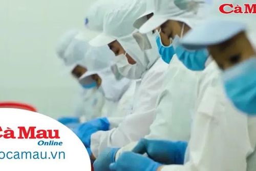Tăng cường triển khai các chính sách BHXH, BHYT từ cơ sở