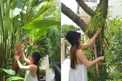 Bên trong biệt thự Diễm My 9x được bố mẹ chồng đại gia tặng, góc nào cũng đẹp nên thơ