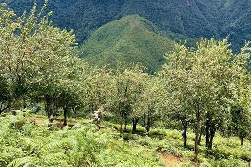 Một thoáng Tà Chì Nhù
