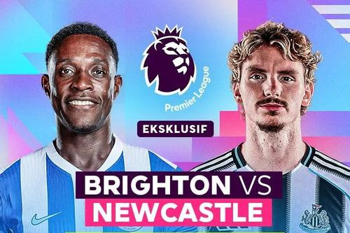 Nhận định trận đấu Brighton vs Newcastle, 21h00 ngày 18.10: Cuộc chiến ngang tài