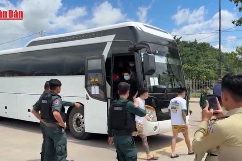 Campuchia bàn giao 59 công dân Hàn Quốc