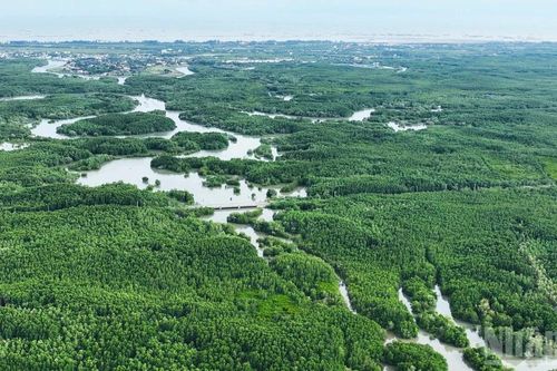Hướng tới mục tiêu Net Zero: Cơ hội song hành cùng thách thức