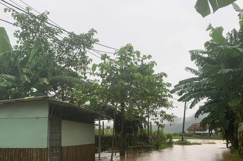 Nhiều khu vực miền núi Đà Nẵng ngập cục bộ do mưa lớn