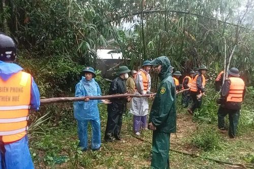 TP Huế: Nỗ lực ngăn chặn sạt lở bờ sông Bù Lu uy hiếp khu dân cư