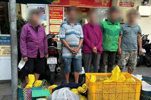 Điều tra đường dây trộm cắp, tiêu thụ chó mèo tại phường An Hội Tây