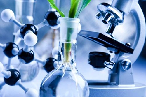 Chỉnh sửa gene trong nông nghiệp - công nghệ chiến lược gắn với khung pháp lý