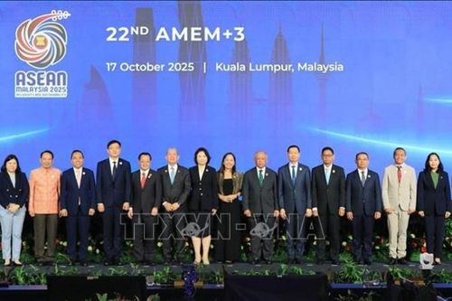 ASEAN khẳng định cam kết chuyển đổi năng lượng và phát triển bền vững