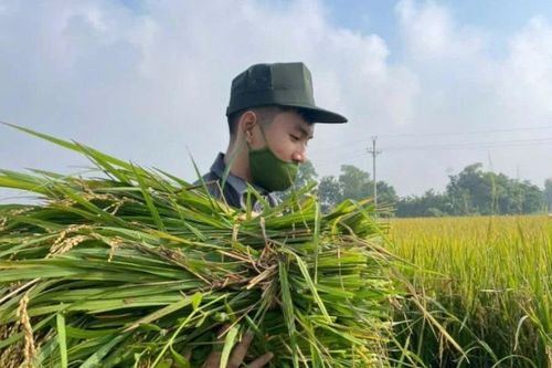 Đổi tên Trường Đại học Kỹ thuật - Hậu cần Công an nhân dân