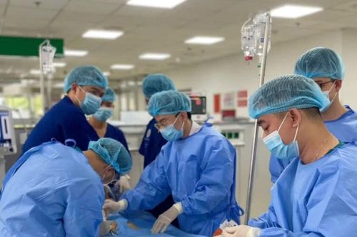 Lửa ấm trong miền sáng lạnh