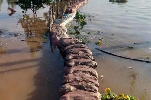 Cảnh báo các hiện tượng thủy văn nguy hiểm ở Tây Ninh, Đồng Tháp