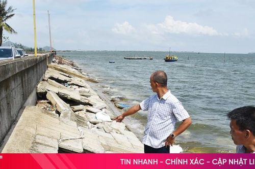 Cần sớm sửa chữa tuyến đê xung yếu bị hư hỏng sau bão lớn