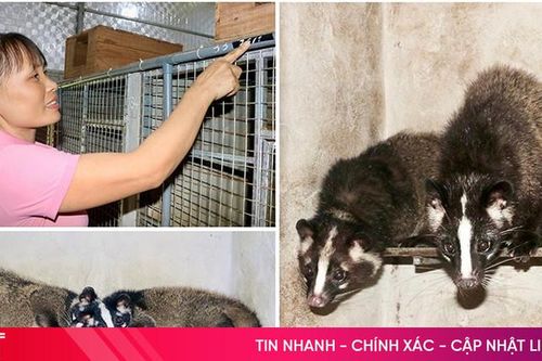 Mai Hoa có nhiều mô hình kinh tế 'nở hoa'