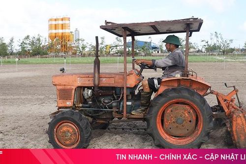 Nông dân Hà Tĩnh tăng tốc gieo trồng, phủ kín vụ đông